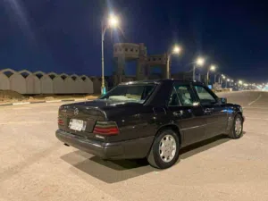 بيبي دب للبيع اصل