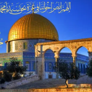 حسين محمد