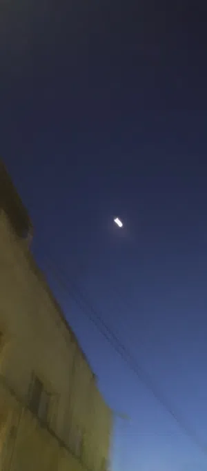 زيد الشبلي 