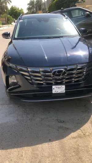 توسان 24 فئة لمتد وارد امريكي تبديل بنيد فقط اثر سقوط جسم عليه في اميركا مرقمه بغداد..مكان السياره ا