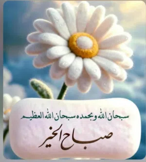 أرض عقارية