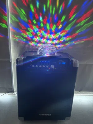 iTarsam Party Shaker portable speaker thats used , with a remote but without the microphone (broken)