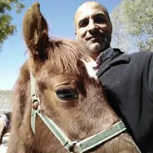 محمد ابو حلو 