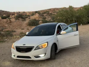 كادينزا فل الفل 27