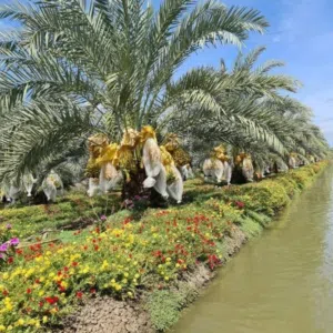 عبدالله 