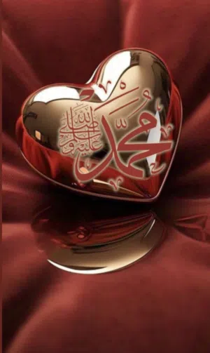 محمد أسامة أبراهيم العمري 