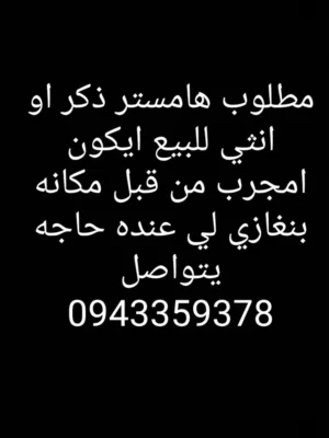 مطلوب هامستر