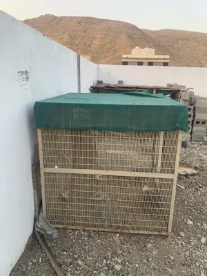 قفص حديدي بلكامل