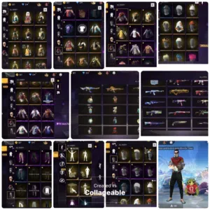 In low price good account