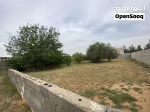 Residential Land for Sale in Tripoli Airport Road