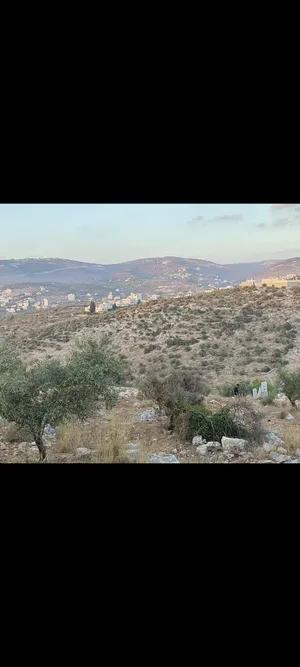 ‏الاستخدام المتعدد ‏.‏ 1101 م٢ ‏.‏ المالك‏4