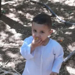 fawzy 