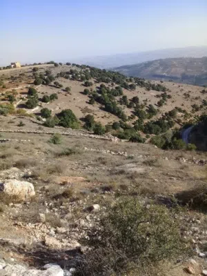 Farm Land for Sale in Jerash Soof