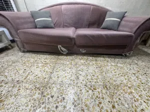 تخم10مقاعد زان اصلي تركي ب 200