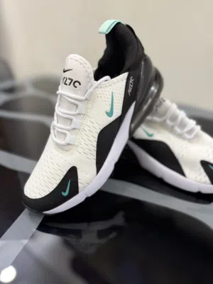Brand new Nike shoe