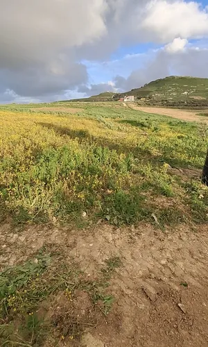 الاستخدام المتعدد . 1000 م٢ . المالك3