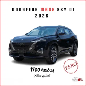 New Dongfeng Other in Amman