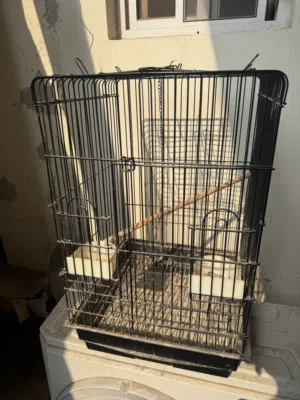 Bird cage and Bird Stand