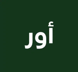 منصة أور للخدمات العامة 