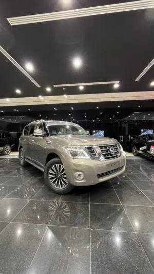 Nissan Petrol Platinum Model 2014
