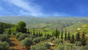4 Bedrooms Farms for Sale in Jerash Al-Mastaba