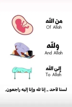 شقه تمليك وحصه في الارض 6 قراريط  وبالمثل في سطح البيت العقار 4 ادوار بالسطح