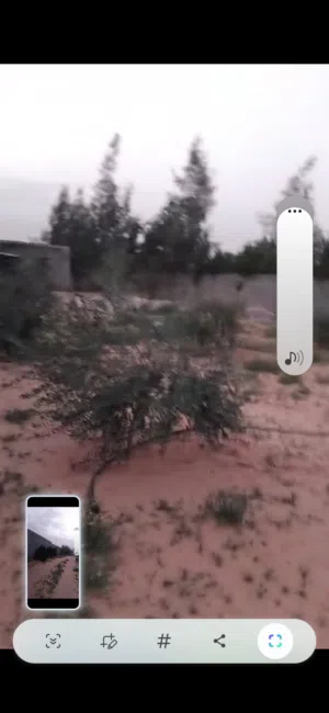 ارض 1700م بالقويعة تبعد علي ساحلي 100متر فقط طريق معبد بها 35 شجرة برتقال ونخل منتجة و16 زيتون متمر