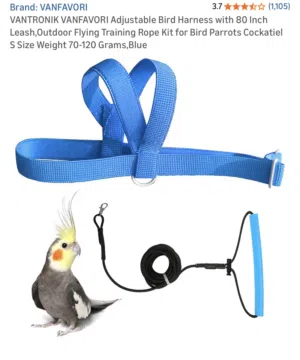 Parrot harness