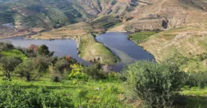 Mixed Use Land for Sale in Jerash Al-Mastaba