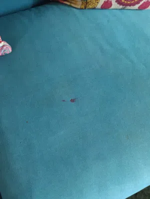 طقم كنب بحالة الجديد مع الطاولات للبيع بداعي السفر