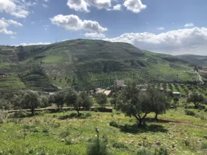 ارض زراعيه على شارعين للبيع قرب معصره وادي شعيب