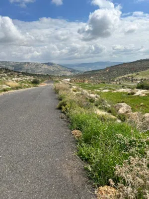 Residential Land for Sale in Amman Badr Jdedeh