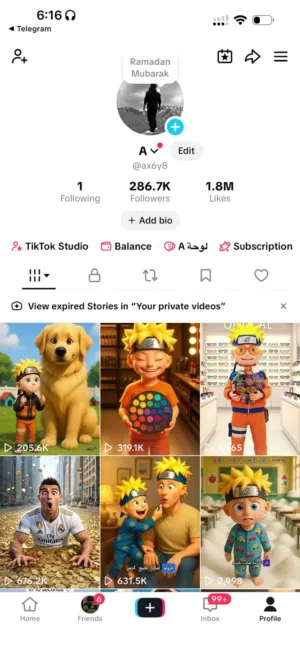 Social Media Accounts and Characters for Sale in Nablus