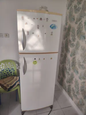 Sanny Refrigerator