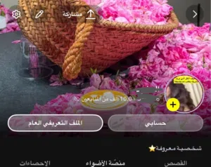 Social Media Accounts and Characters for Sale in Al Dakhiliya