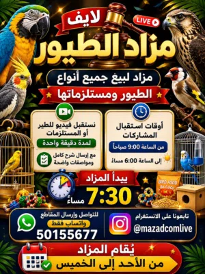 بيع جميع انواع الطيور ومستلزماتها