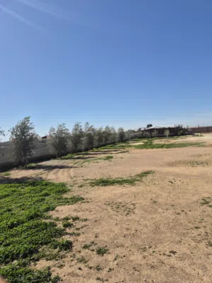 Mixed Use Land for Sale in Mafraq Al-Khalidya
