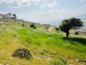 Mixed Use Land for Sale in Jerash Other