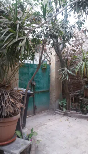 Residential Land for Sale in Alexandria Bolkly