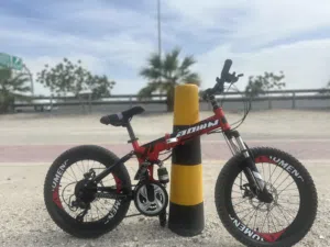 Foldable Mountain Bike – Disc Brakes – Smooth Ride – Ready to Use [NEGOTIABLE]