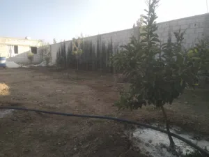 ارض مصونة قريبة جدا عل شارع في الحرجلة
