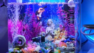 Fish tank for sale