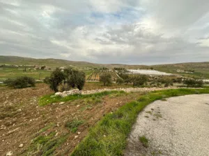 Farm Land for Sale in Mafraq Other
