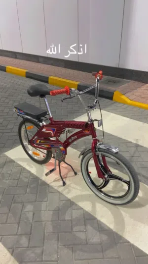 رامبو  عنابي نادر مخزن