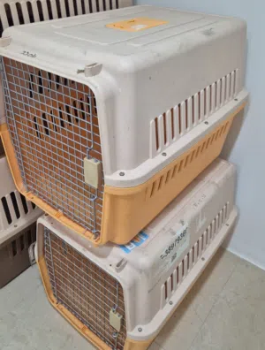 dogs and cats carriers