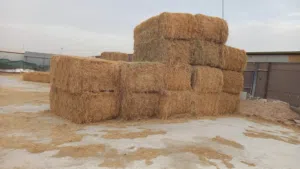 للبيع: رودس درجة تانية بنادل اوزان كبيره