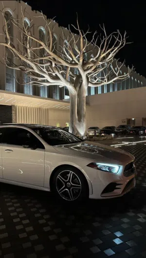Mercedes-Benz 2019 A-220