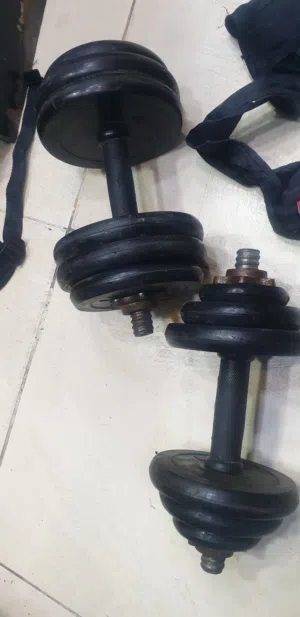 دامبلز رياضي