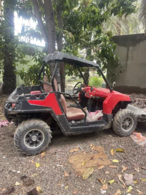 للبيع بولارايس 2011