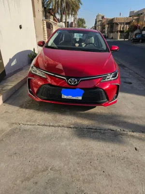 كورلا خليجي ساز2023